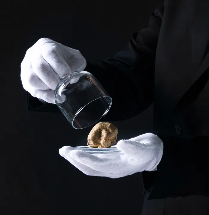 Daniele Violoni, The Lord of Truffle, durante un Evento al Tartufo