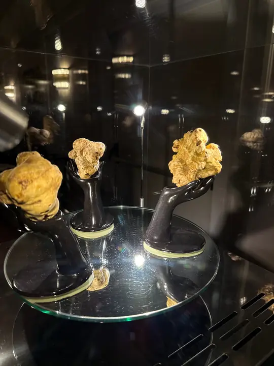 Daniele Violoni, The Lord of Truffle, durante un Evento al Tartufo
